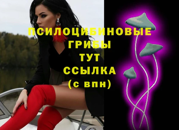 прущие крисы Алзамай