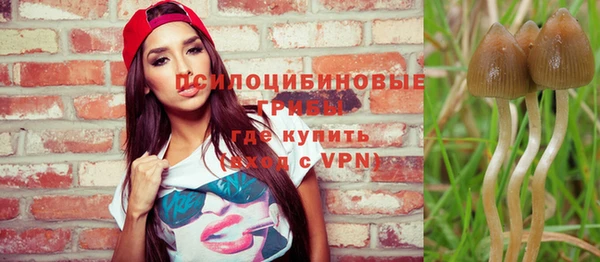 эйфоретик Алексеевка